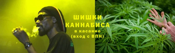крисы Белокуриха