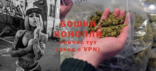 крисы Белокуриха