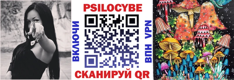 Псилоцибиновые грибы мицелий  Нестеров 